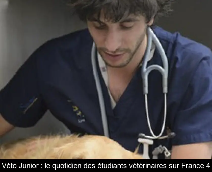 Véto Junior : le quotidien des étudiants vétérinaires sur France 4