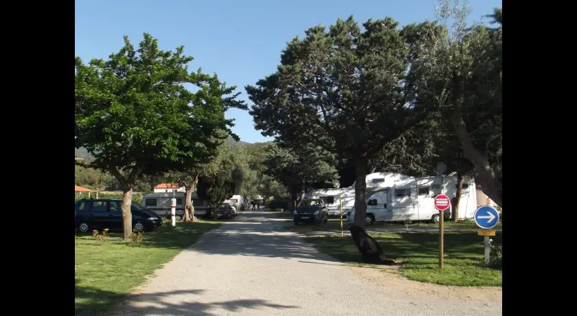 Camping Les Oliviers  Le boulou
