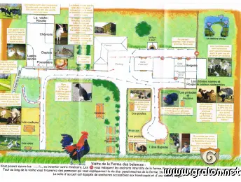 business plan de ferme agricole