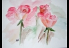 Photo bouquet de roses