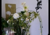 Photo kamelia-fleurs