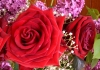 photo roses et lilas