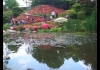 Photo Un étang dans le jardin Albert Kahn