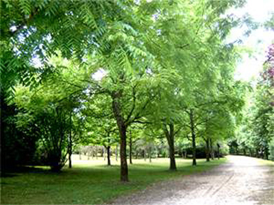 ARBORETUM DE MONTMORENCY