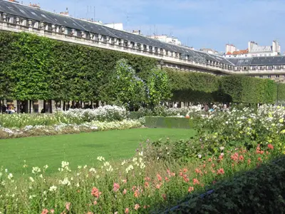 http://www.gralon.net/tourisme/jardins/jardin-jardin-du-palais-royal-774_1.jpg