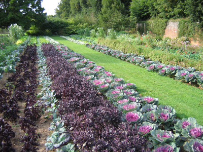 JARDIN POTAGER ARC EN CIEL