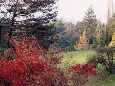 PARC ARBORETUM DU MANOIR AUX LOUPS