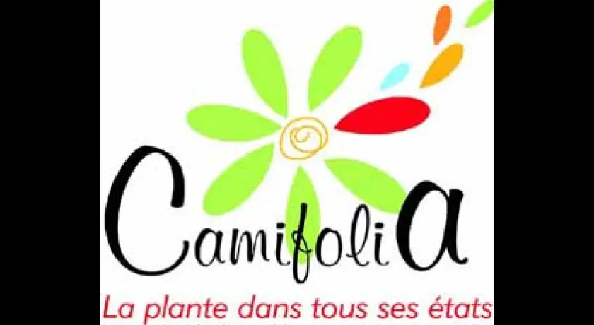CAMIFOLIA, LA PLANTE DANS TOUS SES ETATS