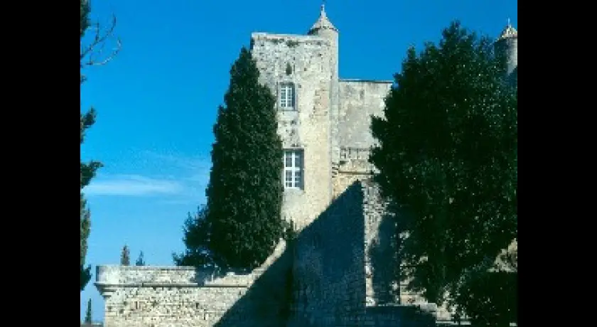 Chateau de Villevieille