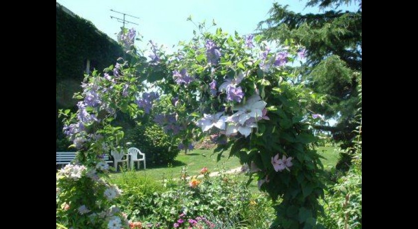 Jardin de Lusseau