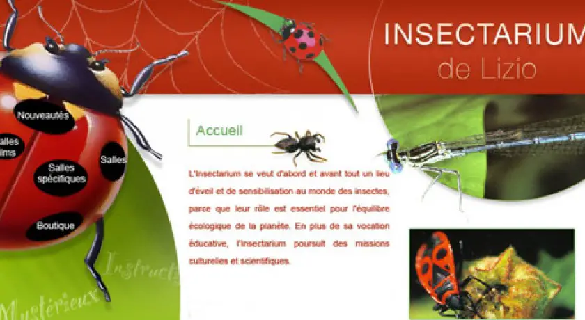 L'insectarium