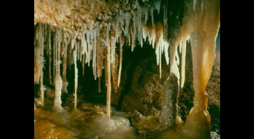 La Grotte de la Forestière 