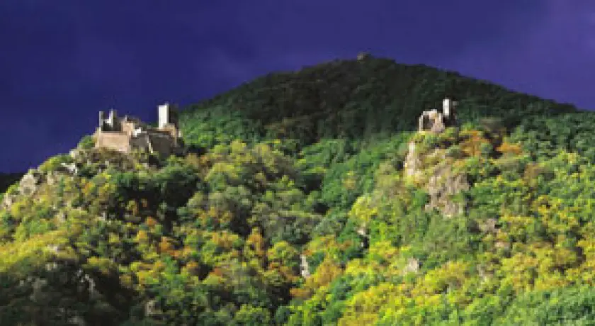 Les trois châteaux de Ribeauvillé