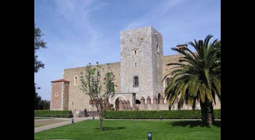 Palais des Rois de Majorque