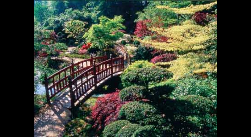 tourisme-parc-floral-de-haute-bretagne-1595.jpg
