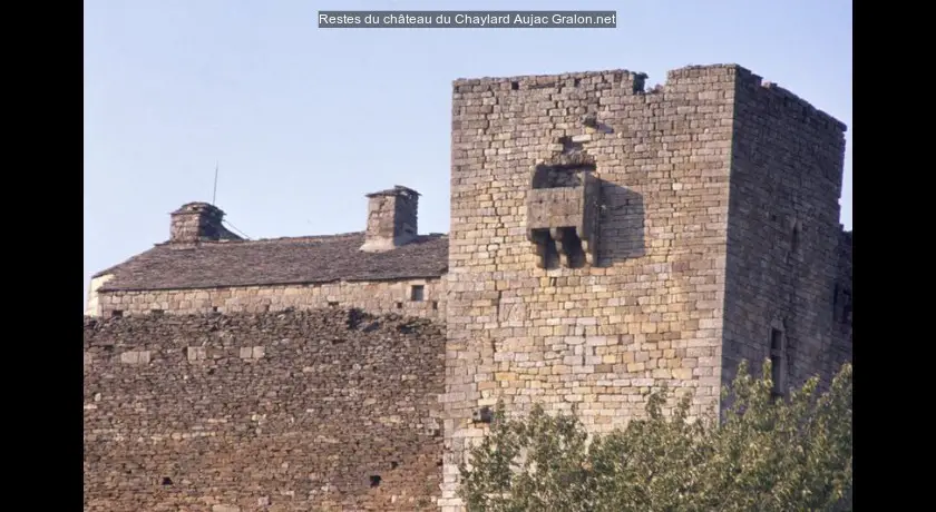 Restes du château du Chaylard