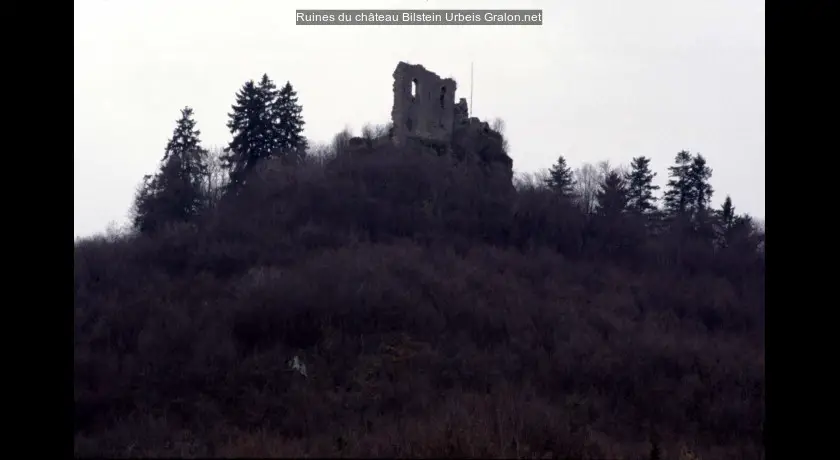Ruines du château Bilstein