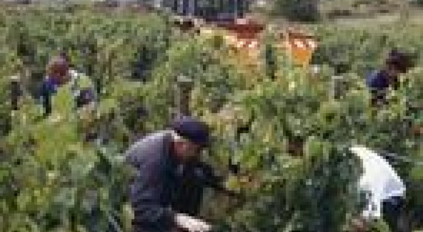 Visite de cave Domaine Imbeau