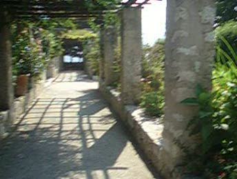 Video Jardins du monastère Cimiez