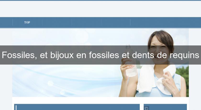 Fossiles, et bijoux en fossiles et dents de requins Fossiles, et bijoux en fossiles et dents de requins