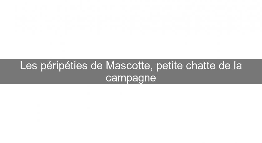 Les péripéties de Mascotte, petite chatte de la campagne Les péripéties de Mascotte, petite chatte de la campagne