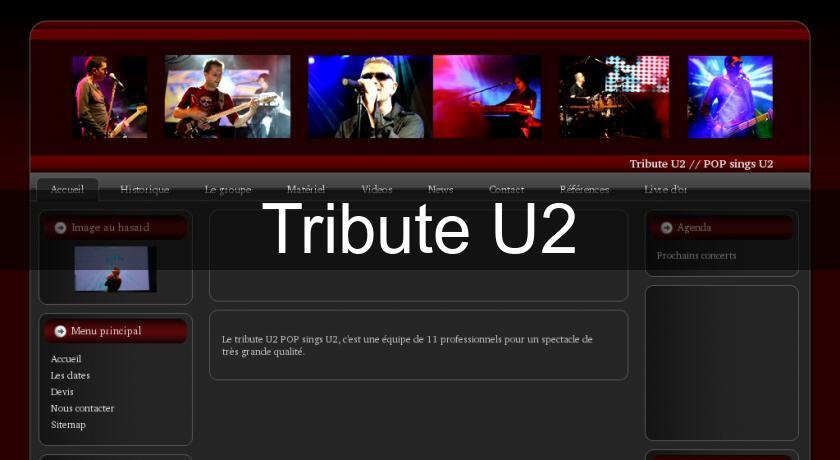 Tribute U2 Tribute U2