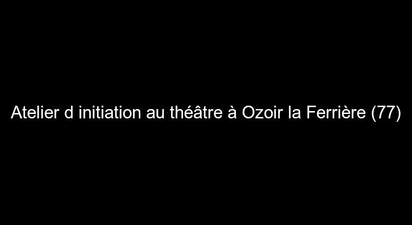 Atelier d'initiation au théâtre à Ozoir la Ferrière (77) Atelier d'initiation au théâtre à Ozoir la Ferrière (77)
