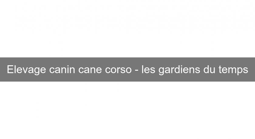 Elevage canin cane corso - les gardiens du temps Elevage canin cane corso - les gardiens du temps
