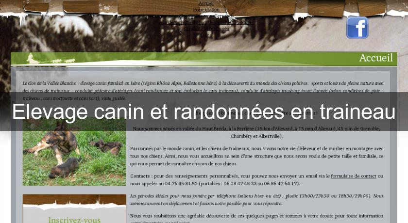Elevage canin et randonnées en traineau Elevage canin et randonnées en traineau