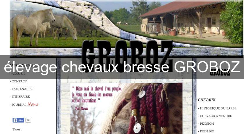 élevage chevaux bresse GROBOZ élevage chevaux bresse GROBOZ