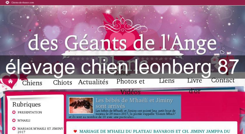 élevage chien leonberg 87 élevage chien leonberg 87