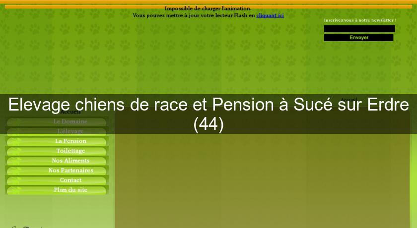 Elevage chiens de race et Pension à Sucé sur Erdre (44) Elevage chiens de race et Pension à Sucé sur Erdre (44)