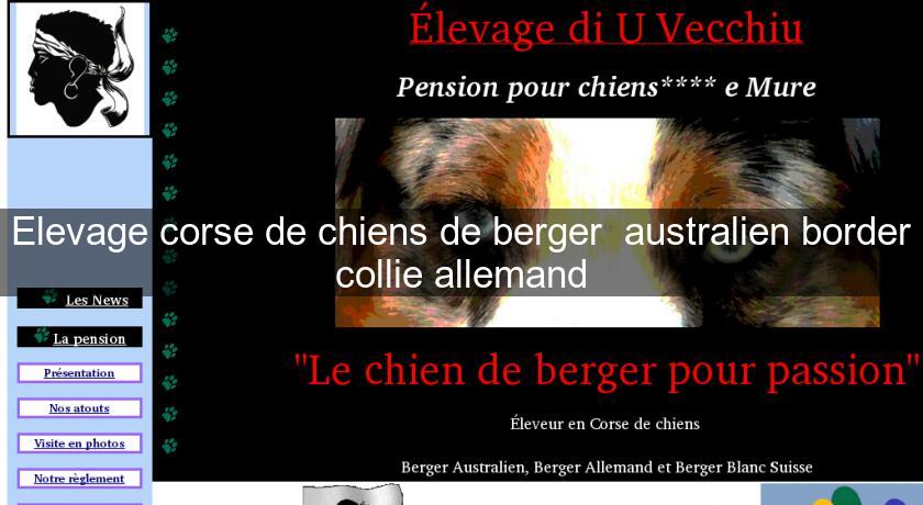 Elevage corse de chiens de berger australien border collie allemand Elevage corse de chiens de berger australien border collie allemand