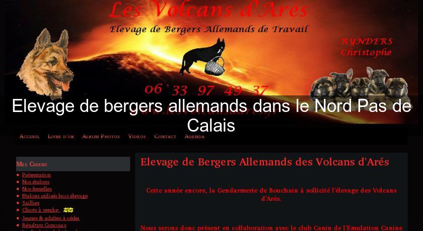 Elevage de bergers allemands dans le Nord Pas de Calais Elevage de bergers allemands dans le Nord Pas de Calais