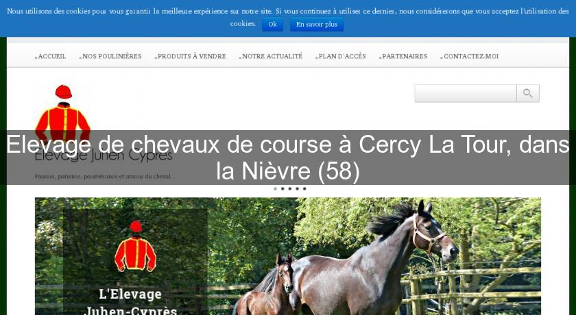 Elevage de chevaux de course à Cercy La Tour, dans la Nièvre (58) Elevage de chevaux de course à Cercy La Tour, dans la Nièvre (58)