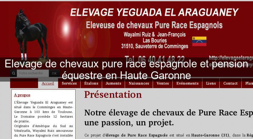 Elevage de chevaux pure race espagnole et pension équestre en Haute Garonne Elevage de chevaux pure race espagnole et pension équestre en Haute Garonne
