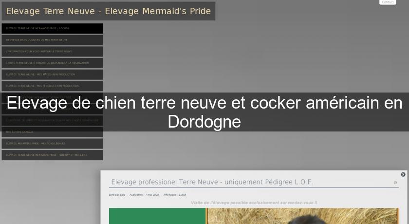 Elevage de chien terre neuve et cocker américain en Dordogne Elevage de chien terre neuve et cocker américain en Dordogne