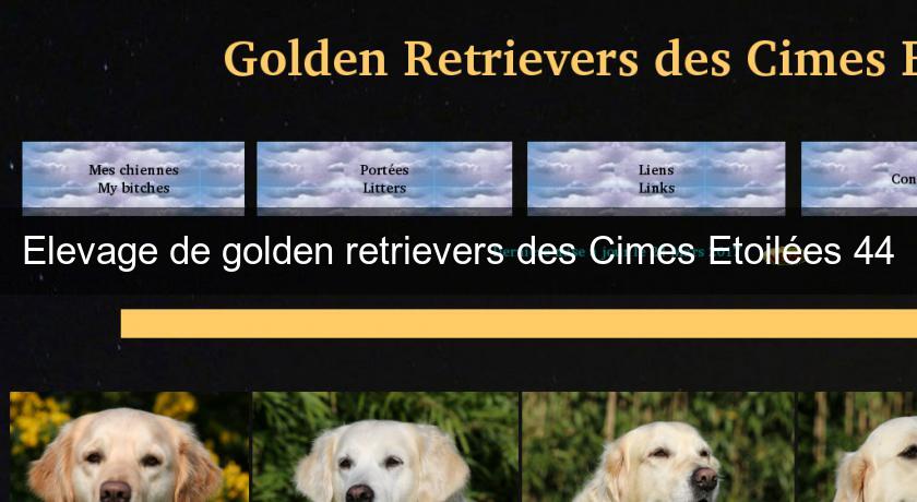 Elevage de golden retrievers des Cimes Etoilées 44 Elevage de golden retrievers des Cimes Etoilées 44