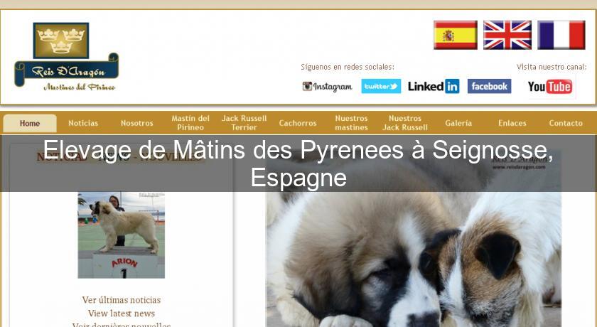 Elevage de Mâtins des Pyrenees à Seignosse, Espagne Elevage de Mâtins des Pyrenees à Seignosse, Espagne