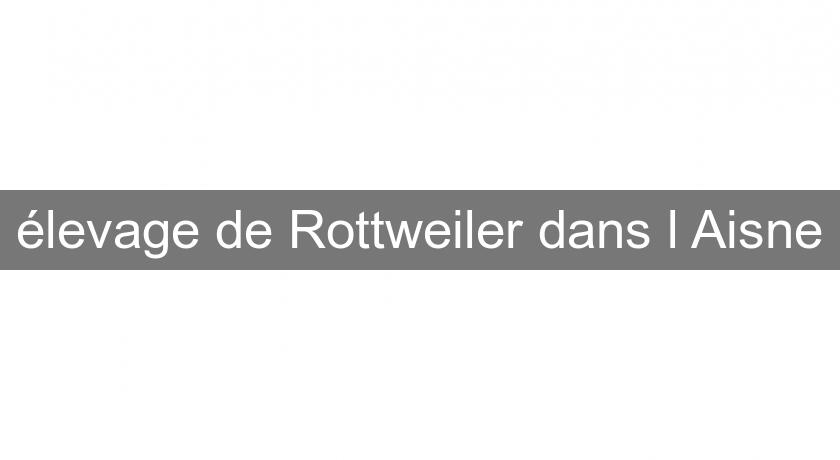 élevage de Rottweiler dans l'Aisne élevage de Rottweiler dans l'Aisne