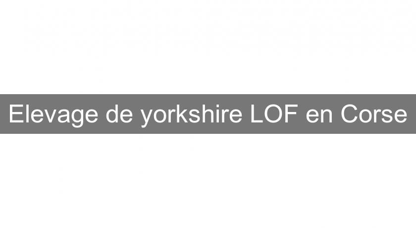 Elevage de yorkshire LOF en Corse Elevage de yorkshire LOF en Corse
