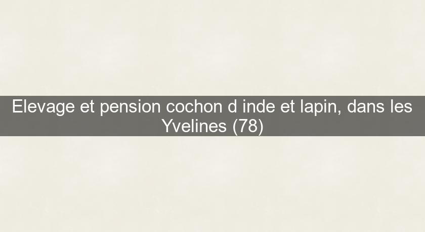 Elevage et pension cochon d'inde et lapin, dans les Yvelines (78) Elevage et pension cochon d'inde et lapin, dans les Yvelines (78)