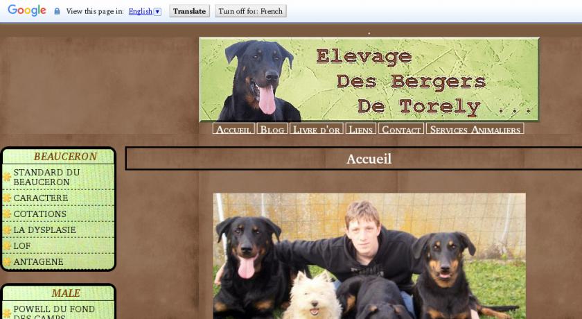 Elevage familial de beauceron et westies, près de la Rochelle, Charente Maritime Elevage familial de beauceron et westies, près de la Rochelle, Charente Maritime