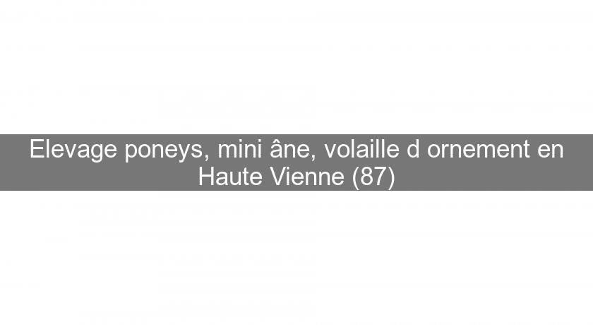 Elevage poneys, mini âne, volaille d'ornement en Haute Vienne (87) Elevage poneys, mini âne, volaille d'ornement en Haute Vienne (87)