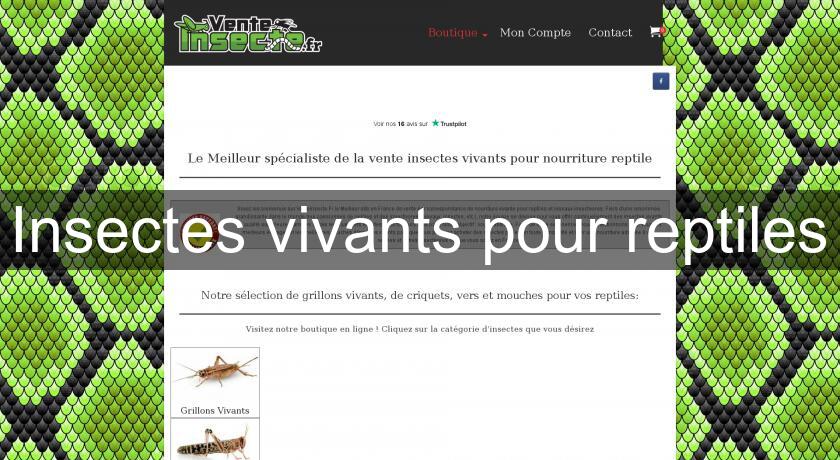 Insectes vivants pour reptiles Insectes vivants pour reptiles