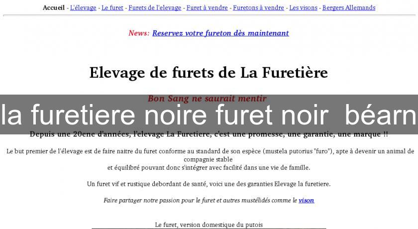 la furetiere noire furet noir béarn la furetiere noire furet noir béarn