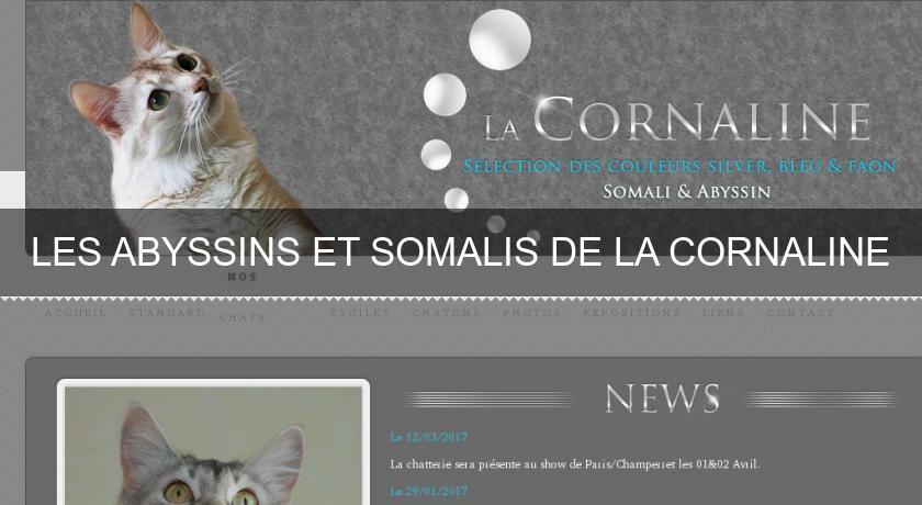 LES ABYSSINS ET SOMALIS DE LA CORNALINE LES ABYSSINS ET SOMALIS DE LA CORNALINE