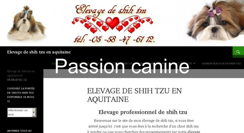 Passion canine Passion canine