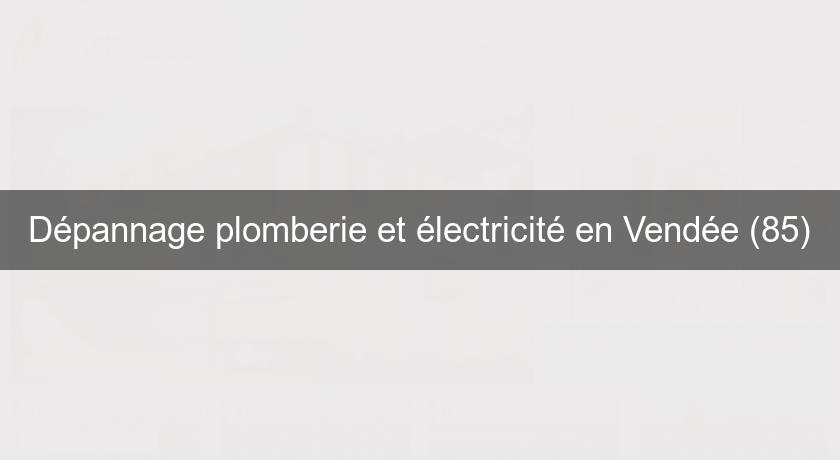 Dépannage plomberie et électricité en Vendée (85) Dépannage plomberie et électricité en Vendée (85)