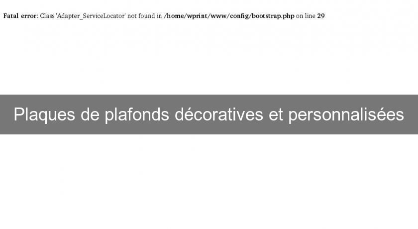 Plaques de plafonds décoratives et personnalisées Plaques de plafonds décoratives et personnalisées